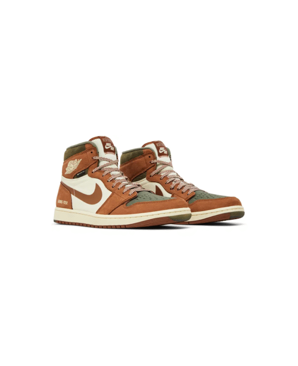 Jordan 1 High Elemental Goretex