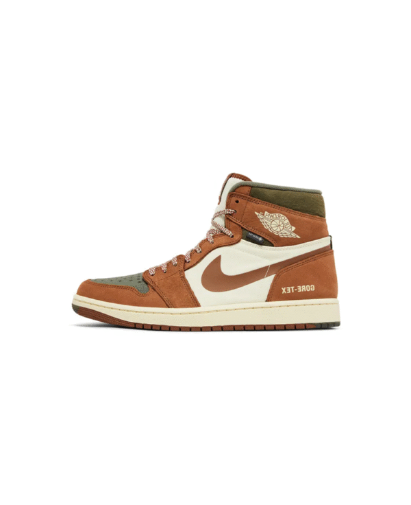 Jordan 1 High Elemental Goretex